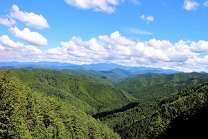 和歌山の自然